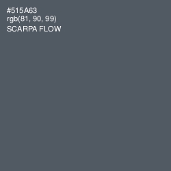 #515A63 - Scarpa Flow Color Image